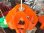 画像2: オレンジのハート形ペンダントライト 東芝 昭和レトロポップ (2)