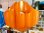 画像5: 東芝 ハート型ペンダントライト オレンジ プラスチック製 昭和レトロ ポップ ビンテージ アンティーク 当時物