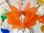 画像3: ヒカリ ペンダントライト オレンジ プラスチック製 昭和レトロ ポップ ビンテージ アンティーク 当時物 (3)
