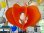 画像4: ヒカリ ペンダントライト オレンジ プラスチック製 昭和レトロ ポップ ビンテージ アンティーク 当時物 (4)