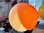 画像5: チューリップ照明3 白＆オレンジ ナショナル製 昭和レトロ 1970年代 ポップ