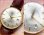 画像1: 調整済み セイコー クロノス セルフデータ 21石 EGPケース 手巻き 1962年 SEIKO Cronos Self Dater (1)