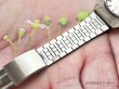 画像11:  超希少 オリエント クロノエース メキシカン 文字盤.シェル（貝）ケース 3面カットガラス  OH済み